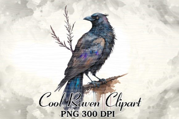Black Raven Watercolor Clipart Review for Embroidery