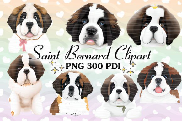 Cute Baby Saint Bernard Clipart Art Review