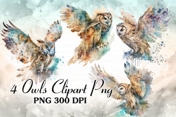 Cute Owl Watercolor ClipArt Sublimation Review