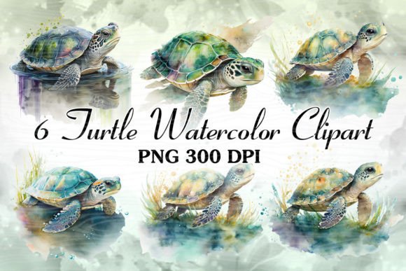 Cute Turtle Colorful Watercolor ClipArt Review