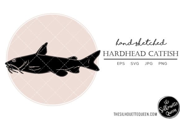 Hardhead Catfish Hand Sketched Review for Embroidery